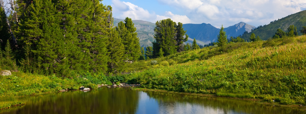 Окружающий мир: Природные зоны России