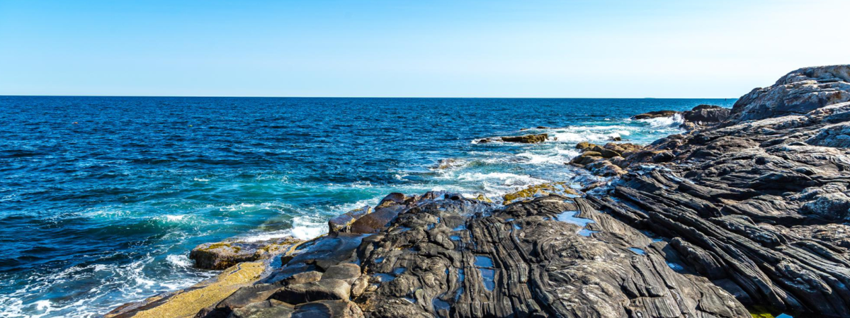 Окружающий мир: У Чёрного моря