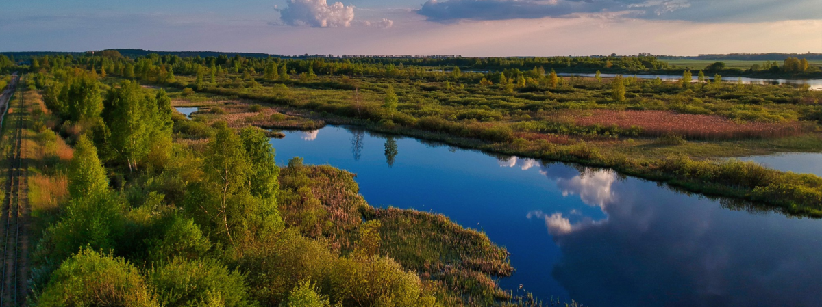 Окружающий мир: Тундра