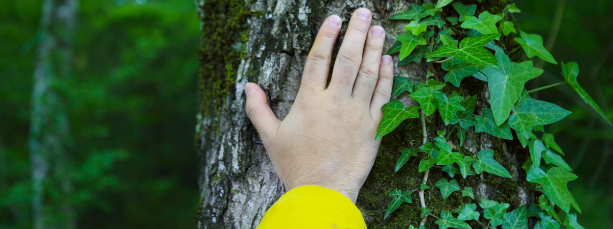 Окружающий мир: Охрана природы