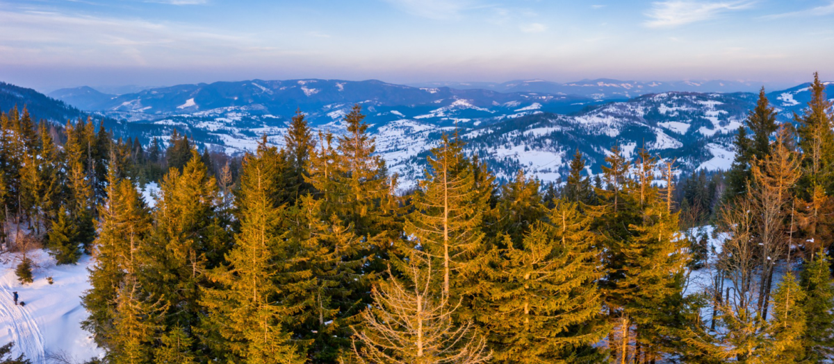 География: Западная Сибирь