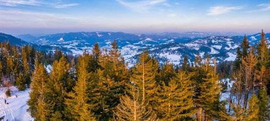 География: Западная Сибирь