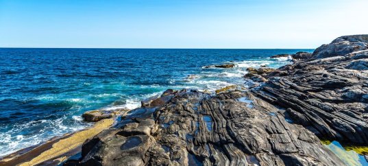 Окружающий мир: У Чёрного моря