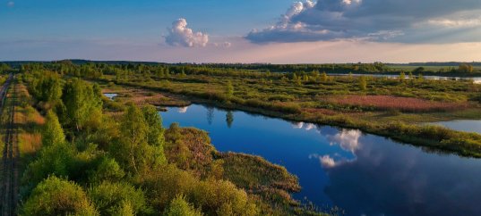 Окружающий мир: Тундра