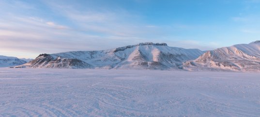 Охрана природы в зоне арктических пустынь России