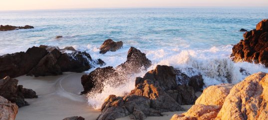 Охрана природы Черноморского побережья