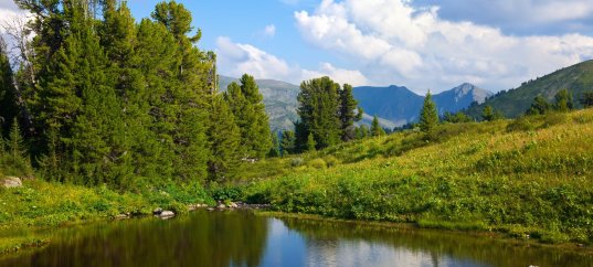 Окружающий мир: Природные зоны России