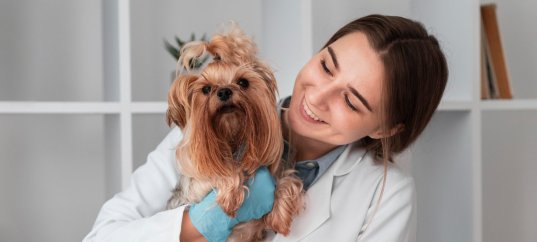 Профессии, связанные с изучением и разведением животных