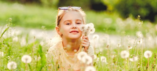 Окружающий мир: Природа и человек