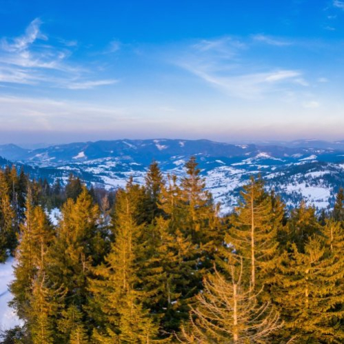 География: Западная Сибирь