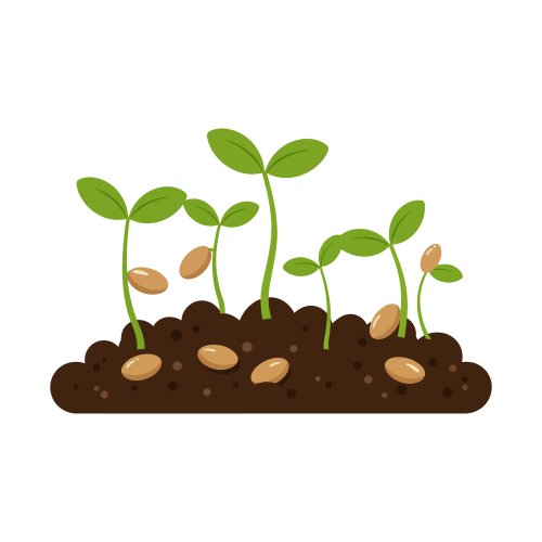 Кроссворд по биологии: Разнообразие и строение семени (5-6 класс)