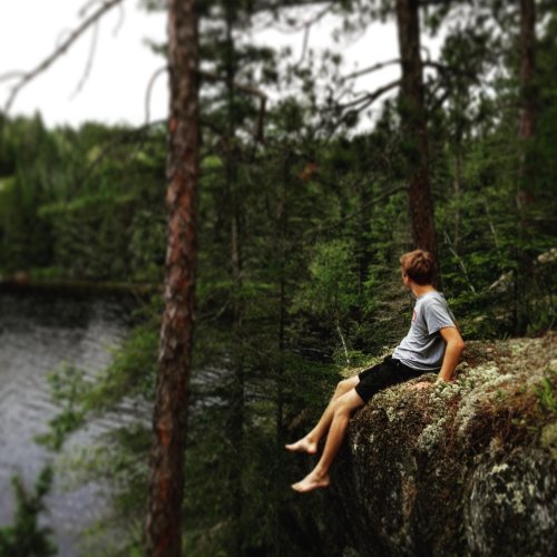 Кроссворд по окружающему миру: Роль леса в природе и жизни людей (4 класс)