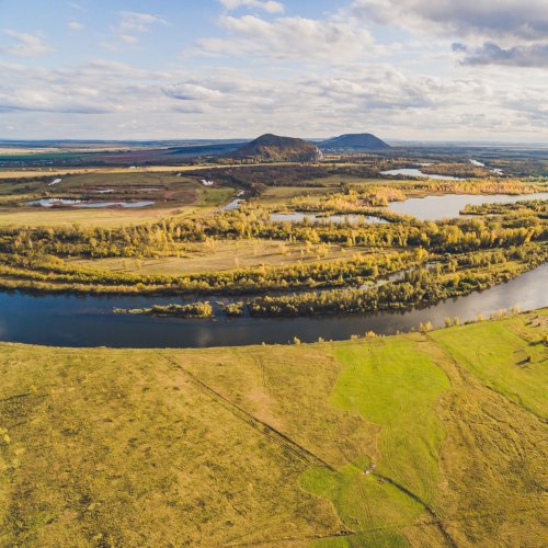 Кроссворд по окружающему миру: Тундра (4 класс)