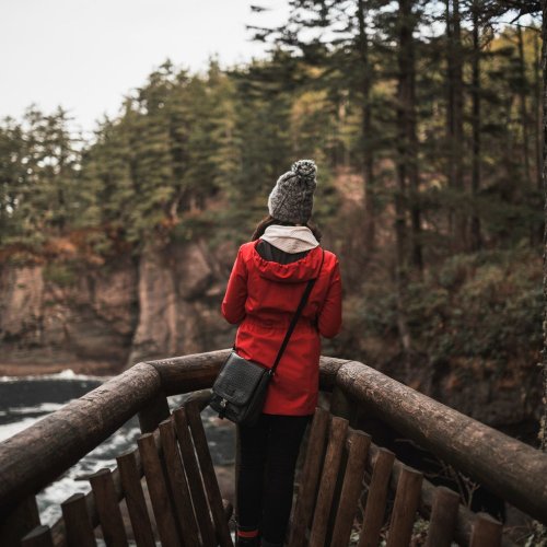 Кроссворд по окружающему миру: Лес и человек (4 класс)