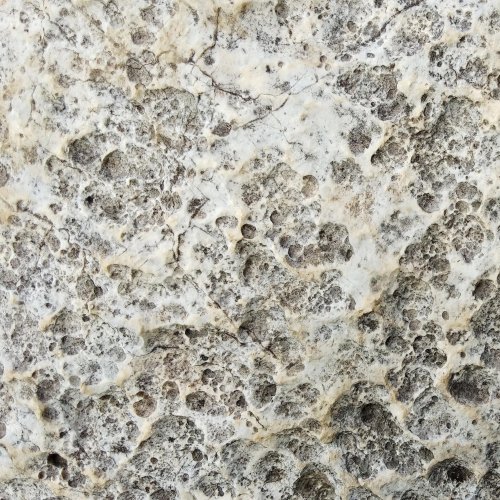 Кроссворд по окружающему миру: Известняк (4 класс)