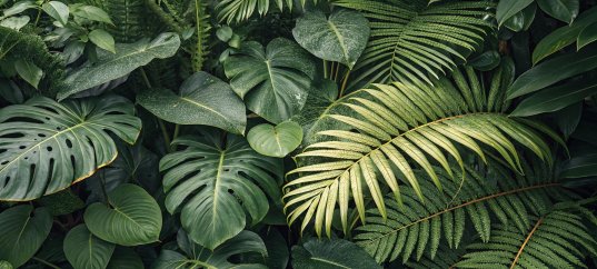 Кроссворд по окружающему миру: Дикорастущие и культурные растения (2 класс)