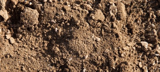 Кроссворд по окружающему миру: Земная поверхность нашего края (4 класс)