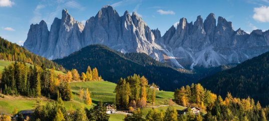 Кроссворд по окружающему миру: Природа в опасности! (3 класс)