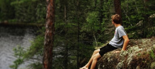 Кроссворд по окружающему миру: Роль леса в природе и жизни людей (4 класс)