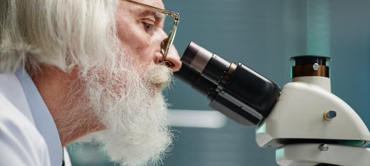 Кроссворд по окружающему миру: Способы изучения природы (3 класс)