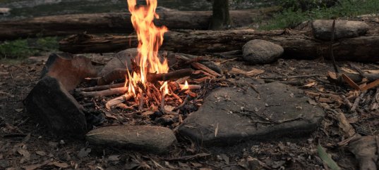 Кроссворд по окружающему миру: Как разводить костёр (4 класс)