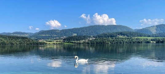 Кроссворд по окружающему миру: Водные богатства нашего края (4 класс)