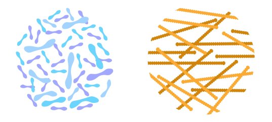 Кроссворд по биологии: Питание бактерий (5-6 класс)