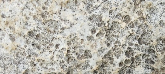 Кроссворд по окружающему миру: Известняк (4 класс)