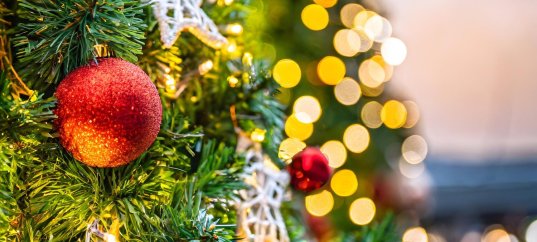 Кроссворд: Новогодние вопросы