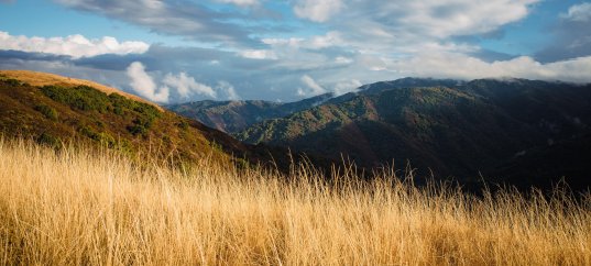 Кроссворд по стихотворению Ивана Никитина «Русь»