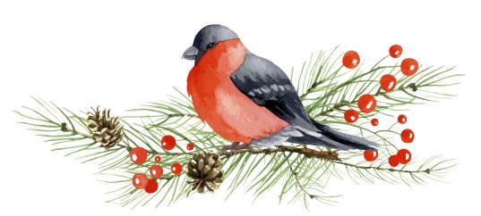 Кроссворд для малышей: Зимующие птицы