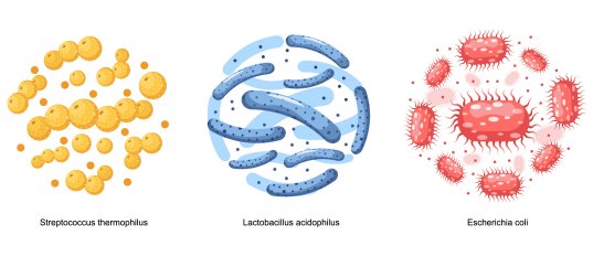 Кроссворд по биологии: Роль бактерий в природе (5-6 класс)