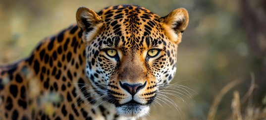 Кроссворд по окружающему миру: Красная книга (2 класс)