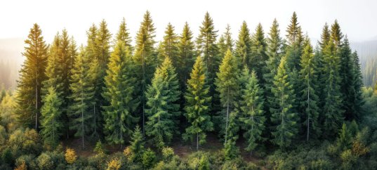 Кроссворд по биологии: Развитие семенных растений (5-6 класс)