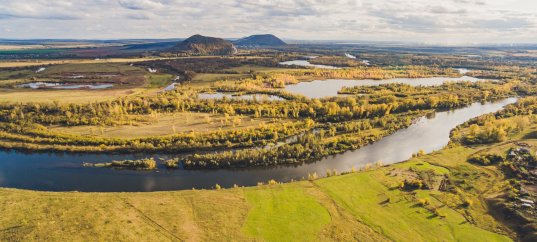 Кроссворд по окружающему миру: Тундра (4 класс)