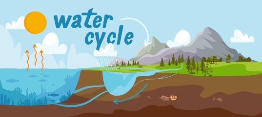 Кроссворд по окружающему миру: Круговорот воды (3 класс)
