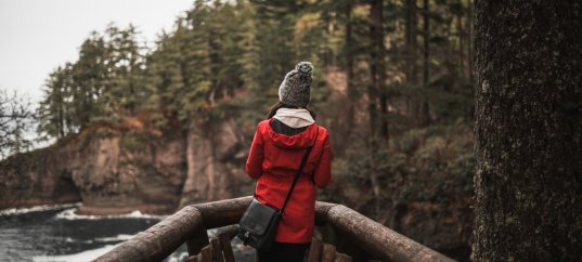 Кроссворд по окружающему миру: Лес и человек (4 класс)