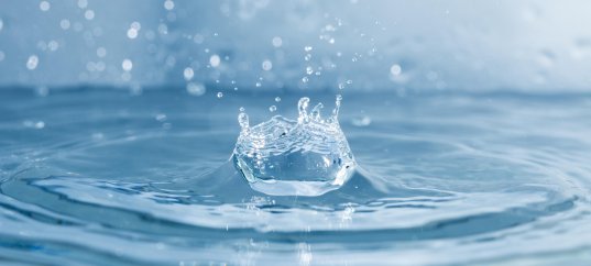 Кроссворд по окружающему миру: Про воду (2 класс)