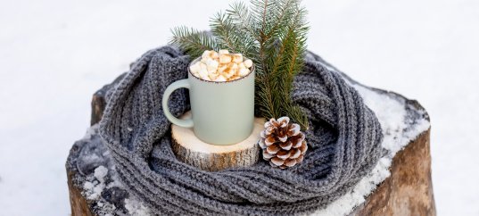 Кроссворд: Декабрь — что вы знаете о первом месяце зимы?