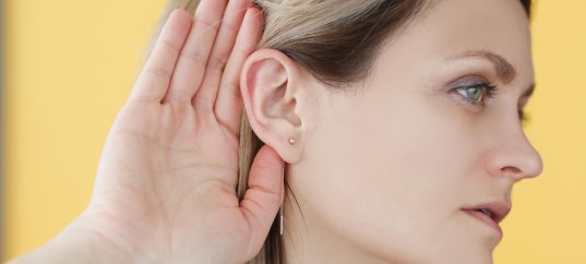 Кроссворд по окружающему миру: Уши — орган слуха (3 класс)