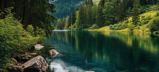 Кроссворд по окружающему миру: Что изучает экология (3 класс)