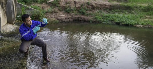 Кроссворд по окружающему миру: Значение водных богатств и их охрана (4 класс)