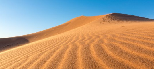 Кроссворд по окружающему миру: Пустыни (4 класс)