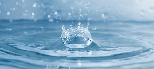 Кроссворд по окружающему миру: Вода (3 класс)