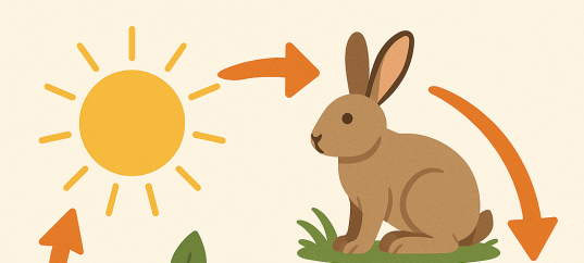 Кроссворд по биологии: Энергия и материя как основа существования биологических систем (10 класс)