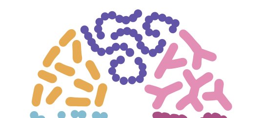 Кроссворд по биологии: Распространение бактерий (5-6 класс)