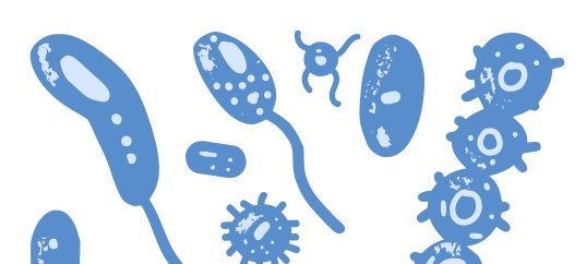 Кроссворд по биологии: Царство бактерий (5-6 класс)