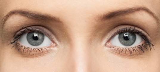 Кроссворд по окружающему миру: Глаза — орган зрения (3 класс)