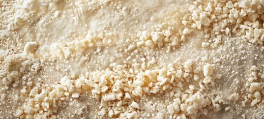 Кроссворд по биологии: Дрожжи (5-6 класс)