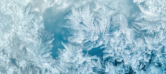 Кроссворд по окружающему миру: Свойства воды (3 класс)